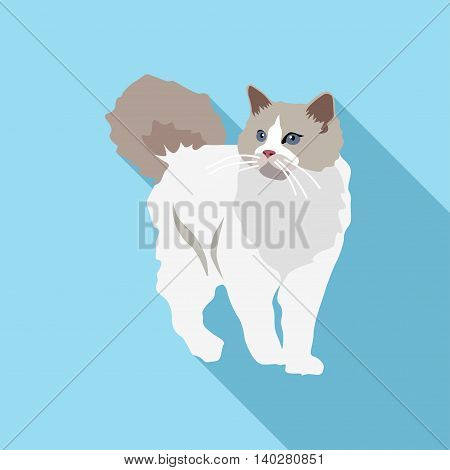 Cats Of Different Breeds With Long Shadow