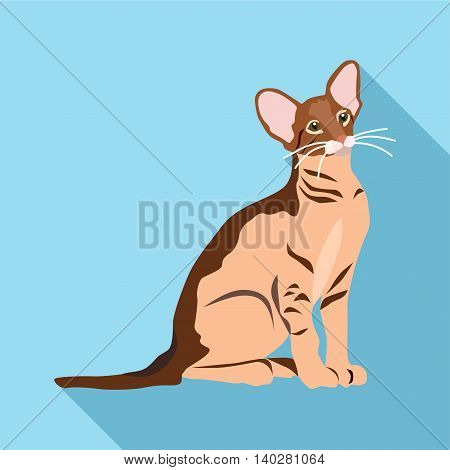 Cats Of Different Breeds With Long Shadow