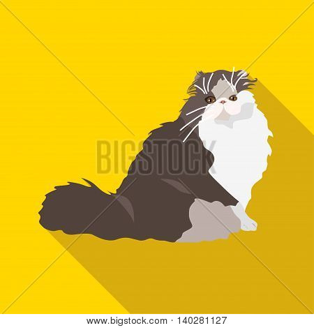 Cats Of Different Breeds With Long Shadow