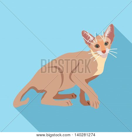 Cats Of Different Breeds With Long Shadow
