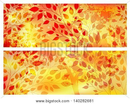 Bright autumn abstract background with casebound leaves and branches