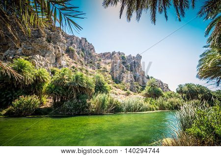 Preveli palm forest in Crete island, Greece. This amazing tropical forest is located in the gorge of Kourtaliotis near the beach of Preveli.