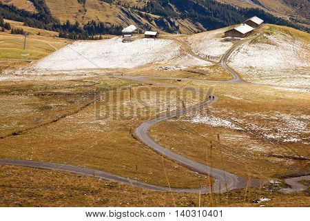 Narrow path on the yellow meadow and small cottages in Alps mountains, Switzerlands