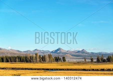 Valley And Mountains In Yellowstone