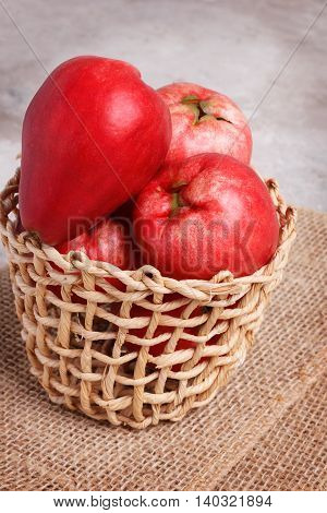 Fruit Acmella Oleracea (jambu, Toothache Plant, Paracress, Electric Daisy)