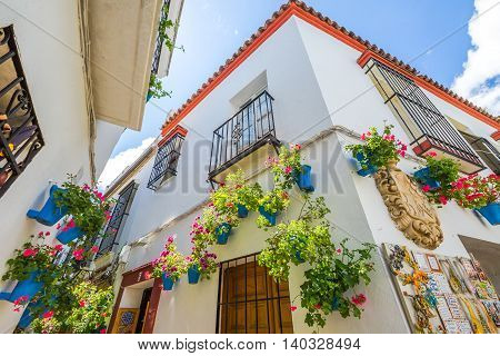 Calleja de las Flores in Barrio de la Juderia of Cordoba, one of the most popular and tourist streets of Andalusian city in Spain.