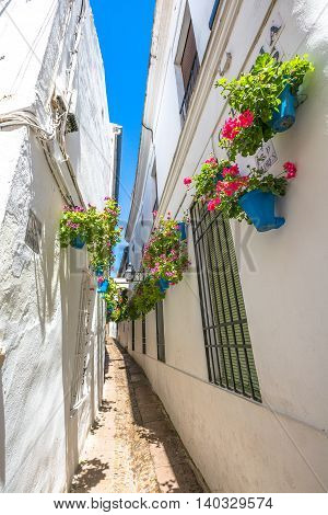 Calleja de las Flores in Barrio de la Juderia of Cordoba, Andalusia, Spain.
