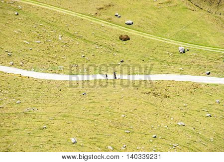 Mount Maunganui, New Zealand - November 8, 2012; Three people walking along walking track that splits green paddock in two on Mount Maunganui from high point of view New Zealand.