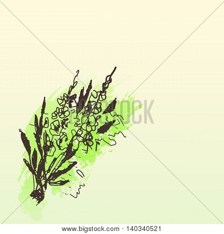 Doodle hand drawn flower, watercolor background. Design,