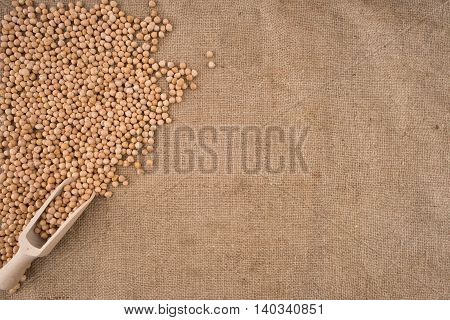 Dried white chickpeas ceci on sack. Top view.