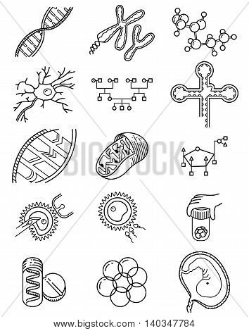 Vector simplicity science icons set with genetic and microbiological objects. Medical collection with DNA and RNA molecule neuron and embryo cells in vitro fertilization process Genetic Engineering