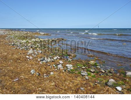 Stones at the beach on Hiddensee Island Germany