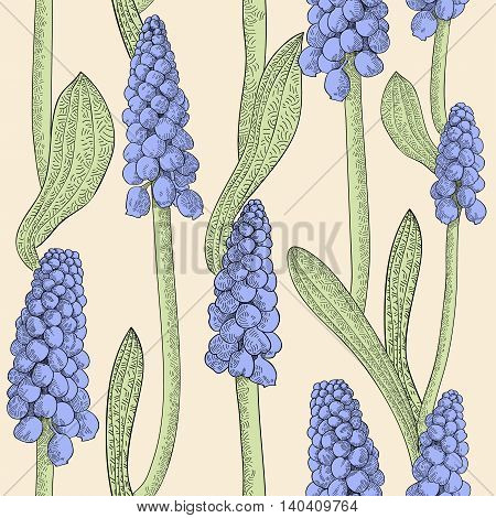 Seamless pattern with grape hyacinth, or muskari,