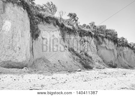 Wooded Cliff at the beach on Hiddensee Island Germany black and white