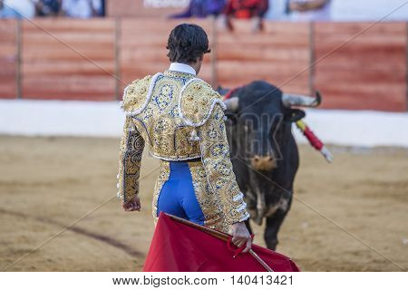 Sabiote SPAIN September 9 2011: The Spanish Bullfighter Francico Rivera bullfighting with the crutch in the Bullring of Sabiote Spain
