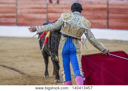 Sabiote SPAIN September 9 2011: The Spanish Bullfighter Francico Rivera bullfighting with the crutch in the Bullring of Sabiote Spain