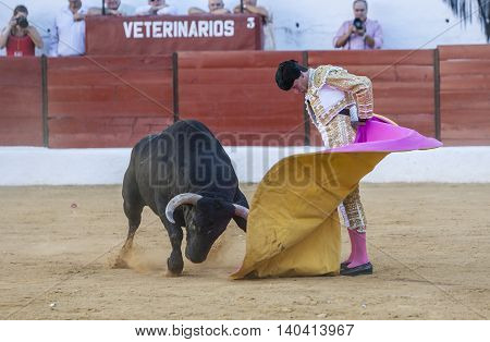 Sabiote SPAIN September 9 2011: The Spanish Bullfighter Jose Carlos Venegas bullfighting with the crutch in the Bullring of Sabiote Spain