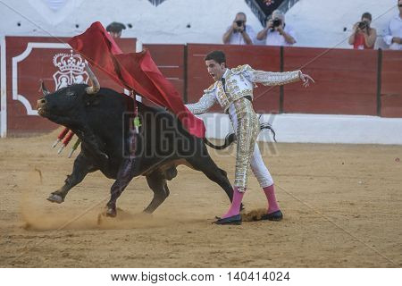 Sabiote SPAIN September 9 2011: The Spanish Bullfighter Jose Carlos Venegas bullfighting with the crutch in the Bullring of Sabiote Spain