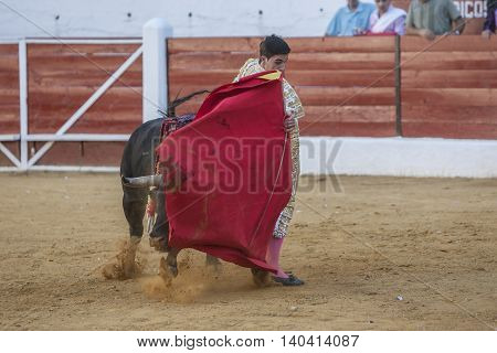 Sabiote SPAIN September 9 2011: The Spanish Bullfighter Jose Carlos Venegas bullfighting with the crutch in the Bullring of Sabiote Spain