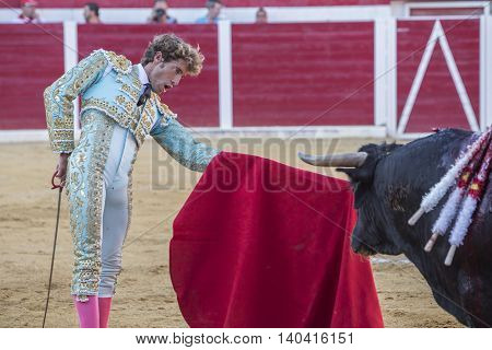 Sabiote Spain - August 23 2014: The Spanish Bullfighter Manuel Escribano bullfighting with the crutch in the Bullring of Sabiote Spain