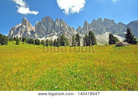 Blloming field and mountains Trentino Alto Italy