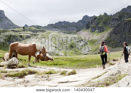 Horse And Two Mountaineers In The Mountain In Ayous Lakes, Pyrenees, France