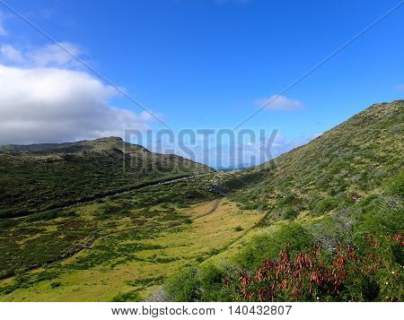 Lush Valley with road within Kaiwi State Scenic Shoreline on O'ahu's southeastern coastline. December 2015.