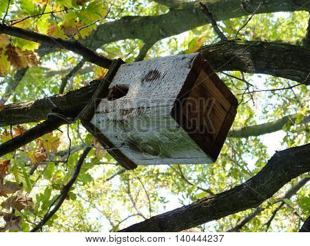 A bird feeder is waiting for the birds