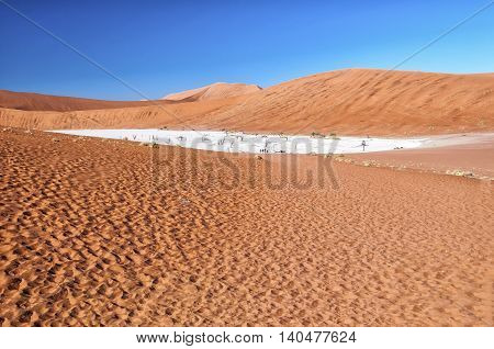 View of Deadvlei in early morning. Deadvlei is a white clay pan located near the more famous salt pan of Sossusvlei, inside the Namib-Naukluft Park in Namibia.
