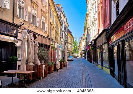 Old Ljubljana cobbled street view capital of Slovenia