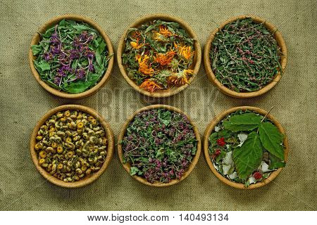Dried herbs for use in alternative medicine.Herbal medicine phytotherapy medicinal herbs.For preparation of infusions decoctions tinctures powders ointments tea.Background green cloth