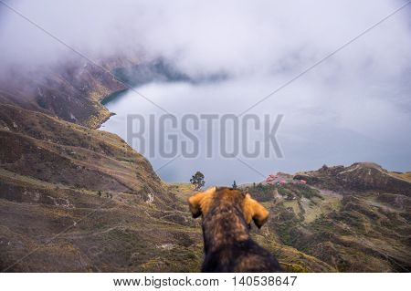 Dog looking at volcanic crater lake in Quilotoa, Ecuador. Quilotoa is a popular place to visit.