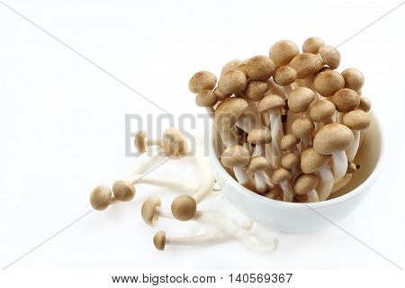 Shimeji is mushrooms for raw food on isolated.