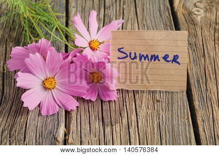 Cosmos Pnk Flowers Lay On Table