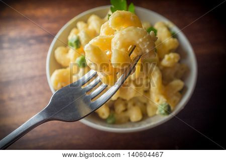 Delicious macaroni and cheddar cheese with parsley sprig