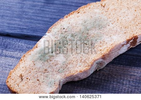 bread with mold on the table close up
