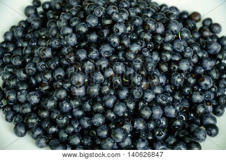 the gifts of nature in the summer black berry blueberries with a waxy coating