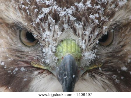 Холодный смотреть!