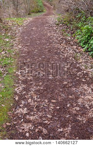 Winding ground barked path through a park