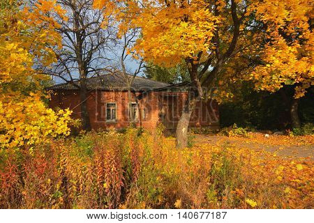 autumn landscape with trees and a brick house in yellow leaves