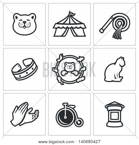 Cat, Circus, Training, Accessories, View, Jumping, Animal, Hands, Transport, Announcement.