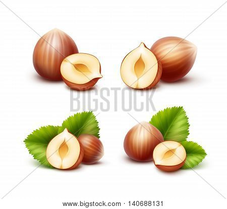 Vector Set of Full and Half Peeled Unpeeled Realistic Hazelnuts with Leaves Close up Isolated on White Background