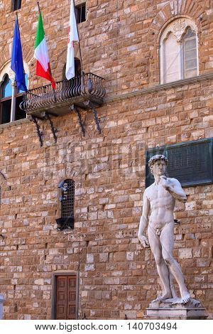 View of the David of Michelangelo in Florence Tuscany. Italy