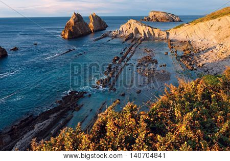 Blossoming Arnia Beach Evening Coastline Landscape.