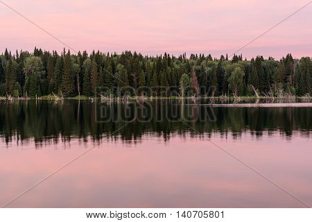Scenic delicate pink sunset on the lake with beautiful clouds and trees reflected in water