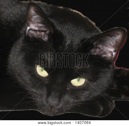 Sort kat 9