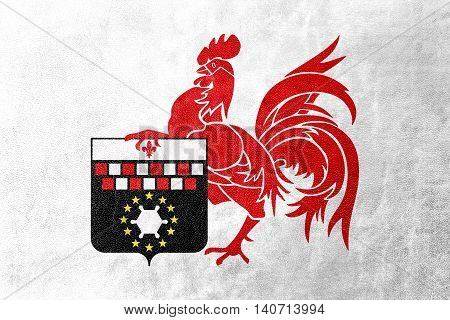Flag Of Charleroi, Belgium, Painted On Leather Texture