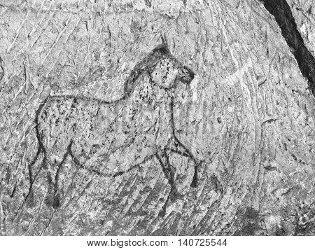 Old Cave. Black Paint Of Horses On Sandstone Wall,