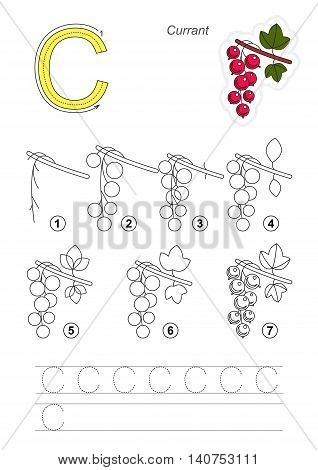 Complete vector illustrated alphabet with kid games. Learn handwriting. Easy educational kid game. Simple level of difficulty. Gaming and education. Drawing tutorial for letter C. The Red Currant.