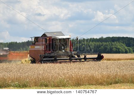 Harvesting Of Wheat. Russia